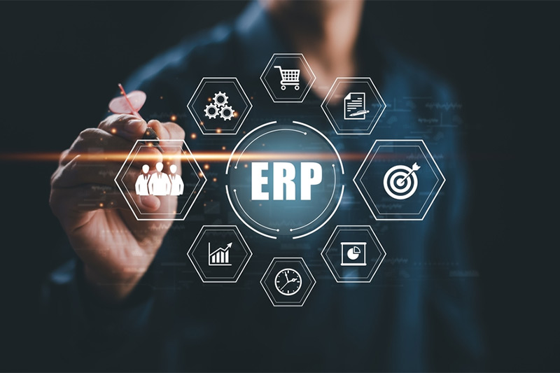 Custom ERP Development
